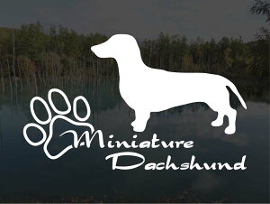 [̃XebJ[]wDOG STICKERx傫߂̃hbOXebJ[~j`A_bNXth X[XwA[h