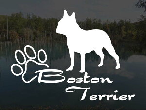 [̃XebJ[]wDOG STICKERx傫߂̃hbOXebJ[{XgeA