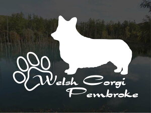 [̃XebJ[]wDOG STICKERx傫߂̃hbOXebJ[EFVR[M[yu[N