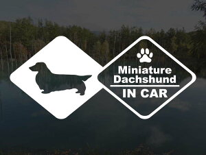 [̃XebJ[]wDOG STICKERxhbOXebJ[ ~j`A_bNXth OIN CAR~j`A_bNX _bNXth