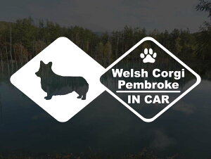 [̃XebJ[]wDOG STICKERx hbOXebJ[EFVR[M[yu[NIN CARR[M[ EFVR[M[ R[M[yu[N