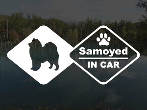 [���̃X�e�b�J�[]�wDOG STICKER�x�h�b�O�X�e�b�J�[�T���G�hIN CAR