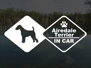 [̃XebJ[]wDOG STICKERxhbOXebJ[GAf[eAIN CAR