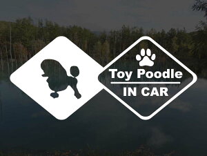 [̃XebJ[]wDOG STICKERxhbOXebJ[ gCv[h A^CvIN CAR