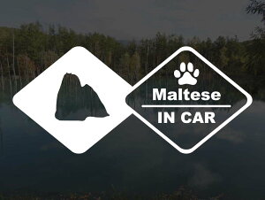 [̃XebJ[]wDOG STICKERxhbOXebJ[ }`[YIN CAR