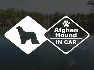 [̃XebJ[]wDOG STICKERxhbOXebJ[AtKnEhIN CAR