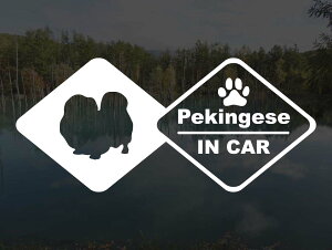 [̃XebJ[]wDOG STICKERxhbOXebJ[ yLj[YIN CAR