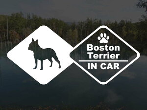 [̃XebJ[]wDOG STICKERxhbOXebJ[ {XgeAIN CAR