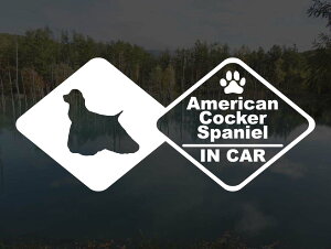 [̃XebJ[]wDOG STICKERxhbOXebJ[AJRbJ[XpjGIN CAR