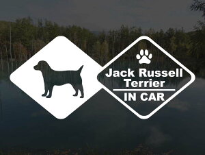[̃XebJ[]wDOG STICKERxhbOXebJ[ WbNbZeA IN CAR