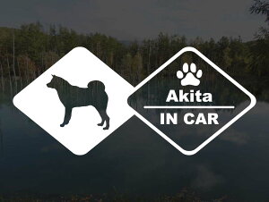 [̃XebJ[]wDOG STICKERxhbOXebJ[HcIN CAR