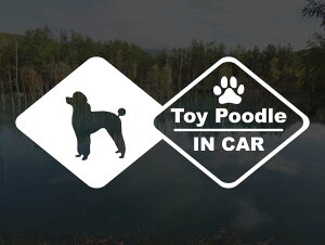 [̃XebJ[]wDOG STICKERxhbOXebJ[ gCv[hB^CvIN CAR
