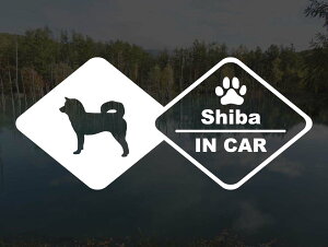 [̃XebJ[]wDOG STICKERx hbOXebJ[Č IN CAR