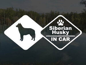 [̃XebJ[]wDOG STICKERx hbOXebJ[ VxAnXL[ IN CAR