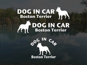 [̃XebJ[]wDOG STICKERxhbOXebJ[wDOG IN CARx{XgeA 3g