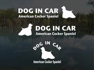 [̃XebJ[]wDOG STICKERxhbOXebJ[wDOG IN CARxAJRbJ[XpjG3g