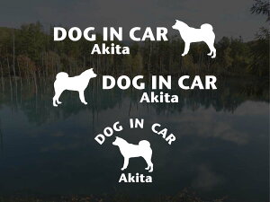 [̃XebJ[]wDOG STICKERxhbOXebJ[wDOG IN CARxHc3g