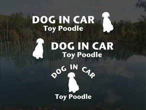 [̃XebJ[]wDOG STICKERx hbOXebJ[wDOG IN CARxgCv[h C^Cv 3g