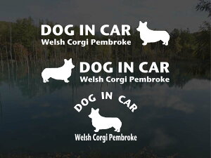 [̃XebJ[]wDOG STICKERxhbOXebJ[wDOG IN CARxEFVR[M[yu[N3g