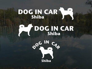 [̃XebJ[]wDOG STICKERxhbOXebJ[wDOG IN CARxČ3g