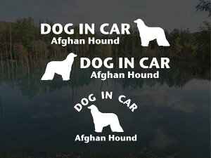 [̃XebJ[]wDOG STICKERxhbOXebJ[wDOG IN CARxAtKnEh3g