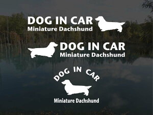 [̃XebJ[]wDOG STICKERxhbOXebJ[wDOG IN CARx~j`A_bNXth OwA[h 3g