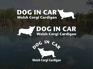 [̃XebJ[]wDOG STICKERxhbOXebJ[wDOG IN CARxEFVR[M[J[fBK3g