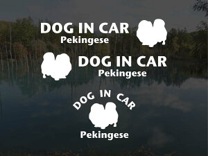 [̃XebJ[]wDOG STICKERxhbOXebJ[wDOG IN CARxyLj[Y 3g