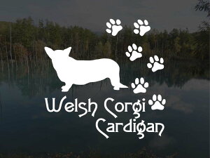 [̃XebJ[]wDOG STICKERx ςhbOXebJ[EFVR[M[J[fBK (LTCY)R[M[ J[fBK EFVR[M[ R[M[J[fBK