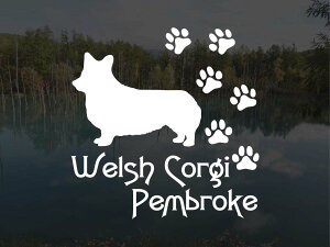 [̃XebJ[]wDOG STICKERxςhbOXebJ[EFVR[M[yu[N (LTCY)R[M[ EFVR[M[ R[M[yu[N