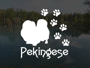 [̃XebJ[]wDOG STICKERxςhbOXebJ[yLj[Y (LTCY)