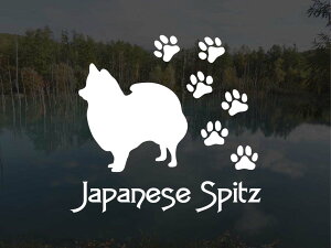 [̃XebJ[]wDOG STICKERxςhbOXebJ[{Xsbc (LTCY)