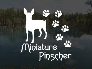 [̃XebJ[]wDOG STICKERxςhbOXebJ[~j`AsV[ (LTCY)~js