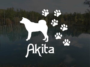 [̃XebJ[]wDOG STICKERxςhbOXebJ[Hc (STCY)