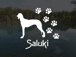 [̃XebJ[]wDOG STICKERxςhbOXebJ[T[L[ (STCY)