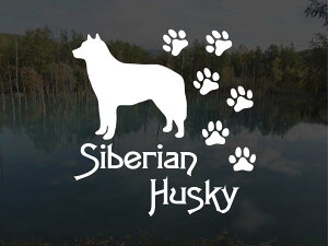 [̃XebJ[]wDOG STICKERx ςhbOXebJ[VxAnXL[ (STCY) nXL[