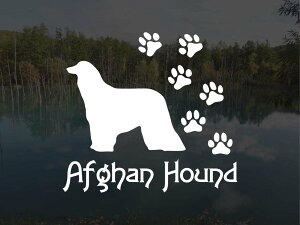 [̃XebJ[]wDOG STICKERx ςhbOXebJ[AtKnEh (STCY)