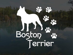 [̃XebJ[]wDOG STICKERxςhbOXebJ[{XgeA (STCY)