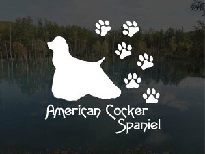 [̃XebJ[]wDOG STICKERxςhbOXebJ[AJRbJ[XpjG (STCY)AJRbJ[