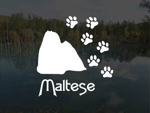 [̃XebJ[]wDOG STICKERxςhbOXebJ[}`[Y (STCY)