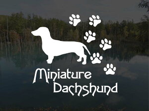 [̃XebJ[]wDOG STICKERxςhbOXebJ[~j`A_bNXth X[XwA[h(STCY) ~j`A_bNX _bNXth