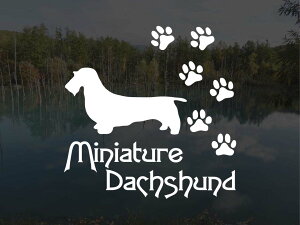 [̃XebJ[]wDOG STICKERxςhbOXebJ[~j`A_bNXth C[wA[h(STCY)~j`A_bNX _bNXth