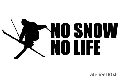 NO SNOW 新作入荷!! LIFE お気にいる ステッカー Sサイズ スキー1