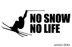 NO SNOW NO LIFE ステッカー スキー2 (Sサイズ)
