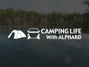 At@[h 40/45 CAMPING LIFE XebJ[ (SS)AEghA Lv V[ fJ[JbeBOXebJ[ JbeBOV[ ؂蔲 ؂蕶