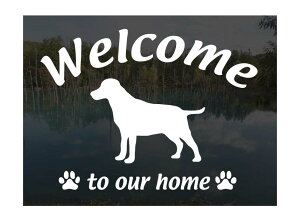 uh[g[o[Welcome XebJ[Op EFJ Ⴂ܂uh[ uh[go[ XebJ[ V[ փhAKX ؕ ]ʃXebJ[