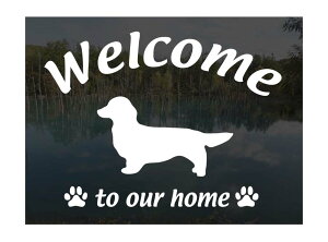 Jjw_bNXth OwA[hWelcome XebJ[Op EFJ Ⴂ܂ XebJ[ V[ փhAKX ؕ ]ʃXebJ[