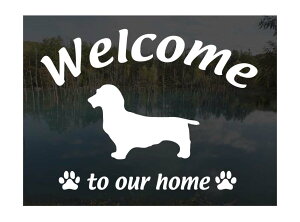 Jjw_bNXth C[wA[hWelcome XebJ[Op EFJ Ⴂ܂ XebJ[ V[ փhAKX ؕ ]ʃXebJ[