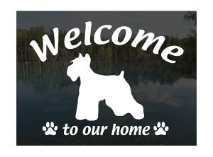 ViEU[ ~j`AViEU[Welcome XebJ[Op EFJ Ⴂ܂ XebJ[ V[ փhAKX ؕ ]ʃXebJ[