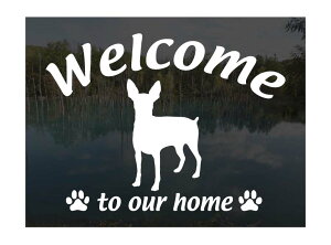 ~js ~j`AsV[Welcome XebJ[Op EFJ Ⴂ܂ XebJ[ V[ փhAKX ؕ ]ʃXebJ[